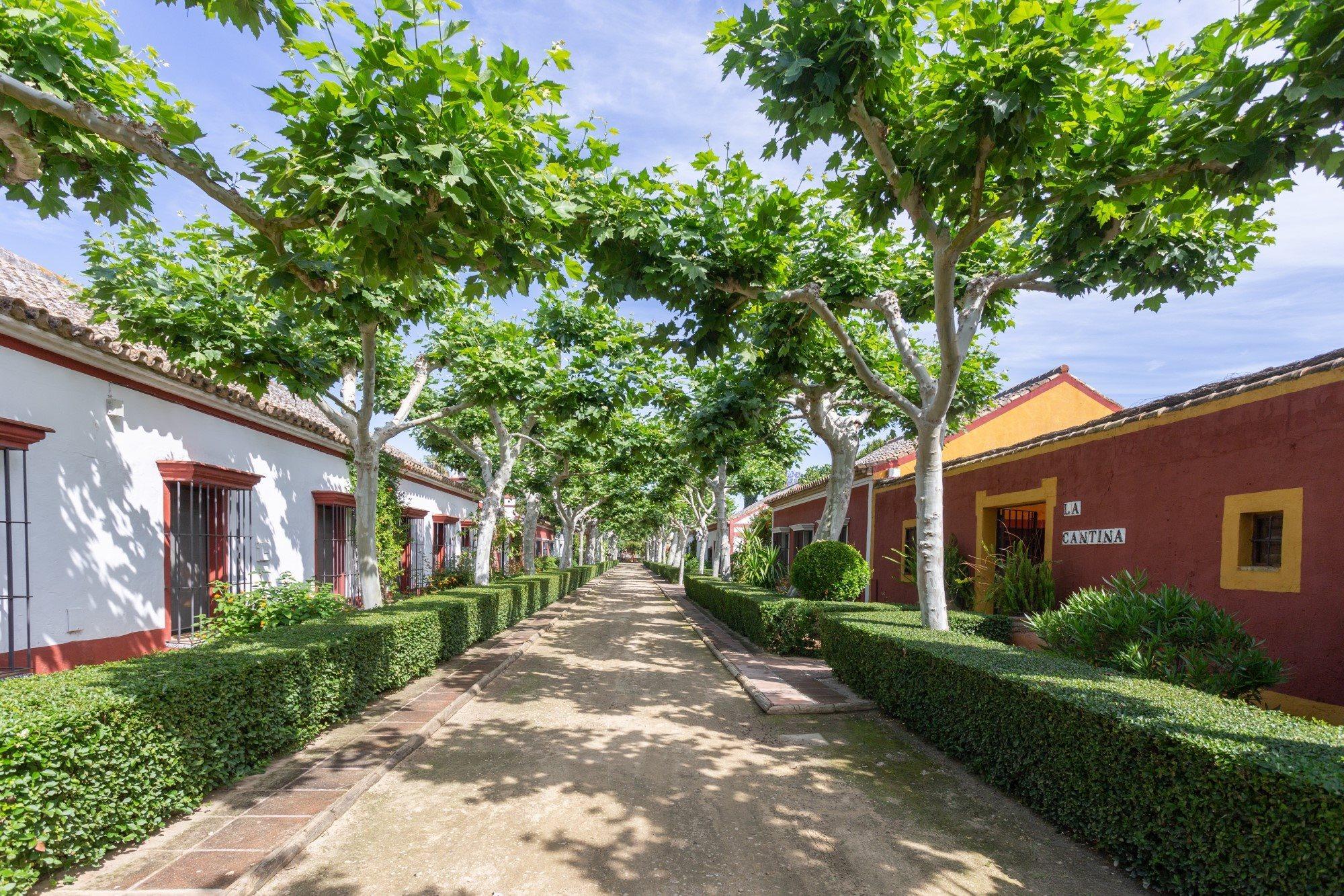 El Cortijo De Los Mimbrales Hotel Almonte Kültér fotó