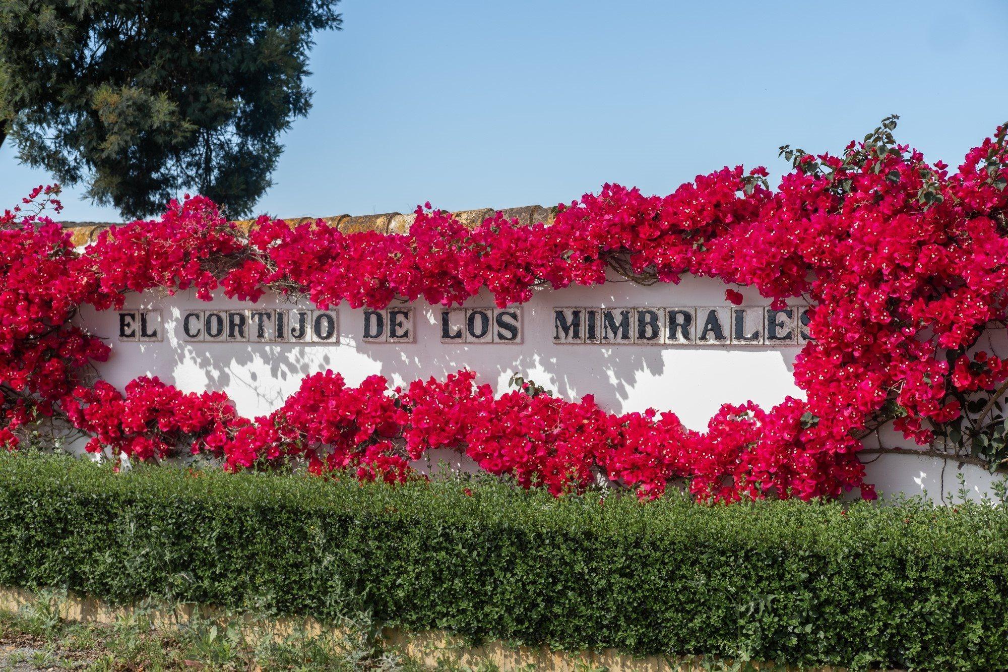 El Cortijo De Los Mimbrales Hotel Almonte Kültér fotó