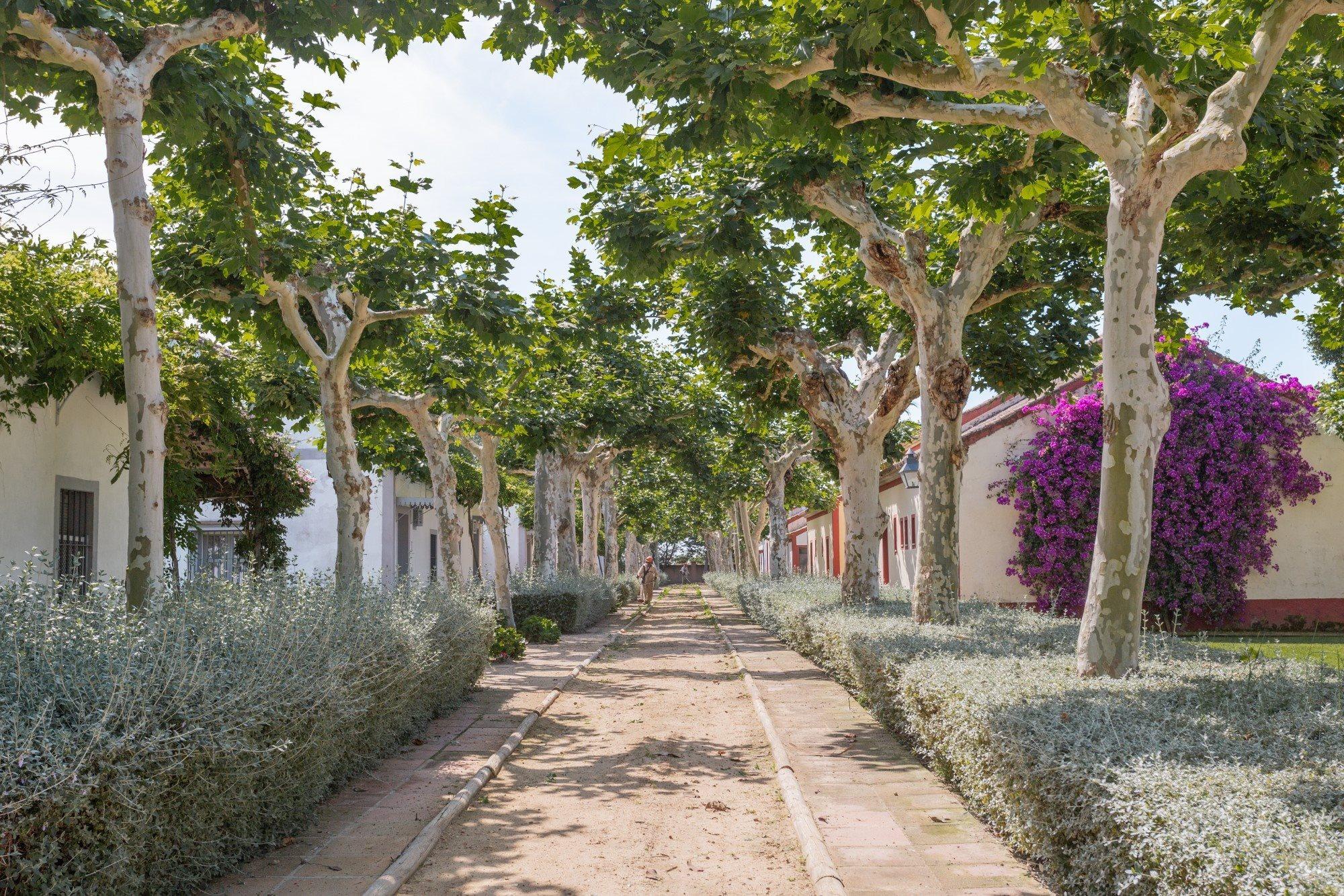 El Cortijo De Los Mimbrales Hotel Almonte Kültér fotó